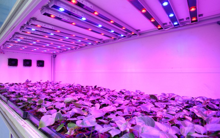 piante vegetali Panasonic attivare impianto di illuminazione a LED