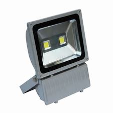 COB LED standard luci di inondazione