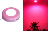 Qual è la funzione di LED Grow Lights